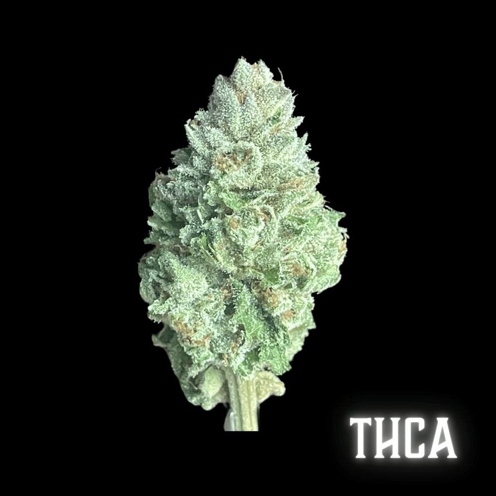 THCA Flower - Blueberry Muffinz